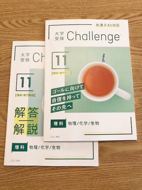 進研ゼミ高校講座☆高2 challenge 6教科 - 語学・辞書・学習参考書