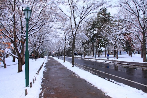 冬の北海道大学：親子同伴で受験に行くのもおすすめ